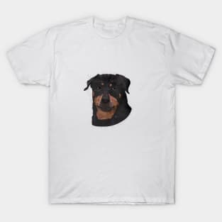 Rottweiler T-Shirt